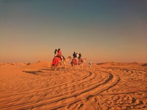 1. Dubai Desert Safari – Here’s Why You Can’t Miss It!